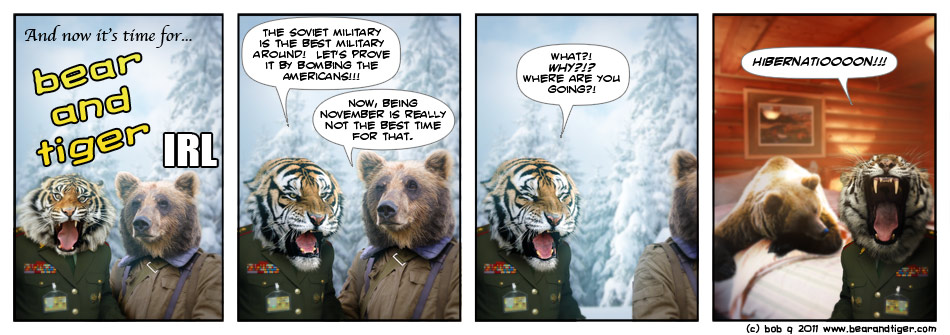 Bear and Tiger IRL